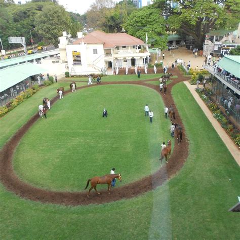 Bangalore Turf Club: The Ultimate Guide to India’s Premier.